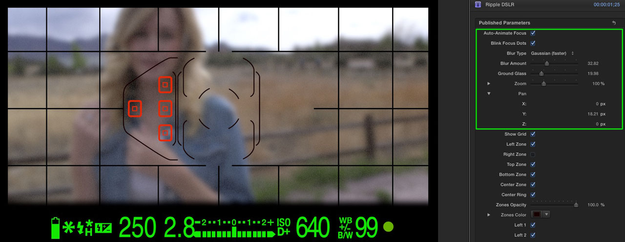 rt-dslr-how-to-02[1]