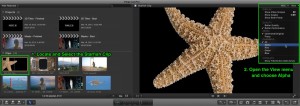 Mask Transitions in Final Cut Pro X, Ripple Training: Video editing tutorials for the best editing software for PC and Mac.