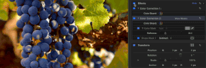 Using Shape and Color Masks in Final Cut Pro X, Ripple Training: Video editing tutorials for the best editing software for PC and Mac.