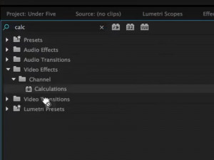 Making Video Black and White in Premiere Pro, Ripple Training: Video editing tutorials for the best editing software for PC and Mac.