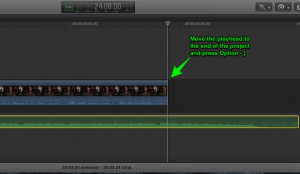 Lesson 5: Adjusting Audio in Final Cut Pro X, Ripple Training: Video editing tutorials for the best editing software for PC and Mac.