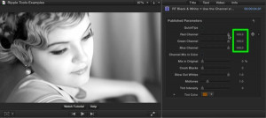 Ripple Tools Helps Docs, Ripple Training: Video editing tutorials for the best editing software for PC and Mac.
