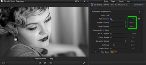Ripple Tools Helps Docs, Ripple Training: Video editing tutorials for the best editing software for PC and Mac.