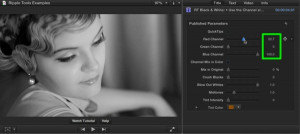 Ripple Tools Helps Docs, Ripple Training: Video editing tutorials for the best editing software for PC and Mac.