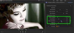 Ripple Tools Helps Docs, Ripple Training: Video editing tutorials for the best editing software for PC and Mac.
