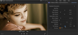 Ripple Tools Helps Docs, Ripple Training: Video editing tutorials for the best editing software for PC and Mac.