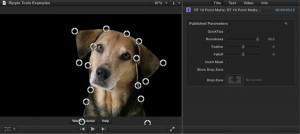 Ripple Tools Helps Docs, Ripple Training: Video editing tutorials for the best editing software for PC and Mac.
