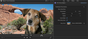 Ripple Tools Helps Docs, Ripple Training: Video editing tutorials for the best editing software for PC and Mac.