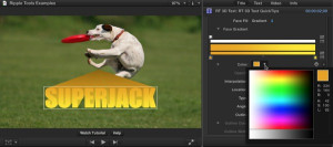 Ripple Tools Helps Docs, Ripple Training: Video editing tutorials for the best editing software for PC and Mac.