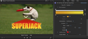 Ripple Tools Helps Docs, Ripple Training: Video editing tutorials for the best editing software for PC and Mac.