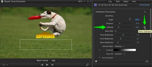 Ripple Tools Helps Docs, Ripple Training: Video editing tutorials for the best editing software for PC and Mac.