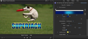 Ripple Tools Helps Docs, Ripple Training: Video editing tutorials for the best editing software for PC and Mac.