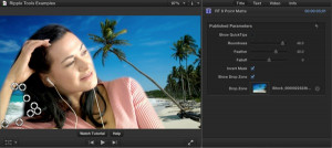 Ripple Tools Helps Docs, Ripple Training: Video editing tutorials for the best editing software for PC and Mac.