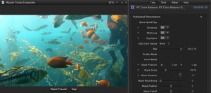 Ripple Tools Helps Docs, Ripple Training: Video editing tutorials for the best editing software for PC and Mac.