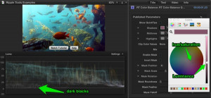 Ripple Tools Helps Docs, Ripple Training: Video editing tutorials for the best editing software for PC and Mac.