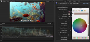 Ripple Tools Helps Docs, Ripple Training: Video editing tutorials for the best editing software for PC and Mac.