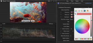 Ripple Tools Helps Docs, Ripple Training: Video editing tutorials for the best editing software for PC and Mac.