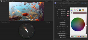 Ripple Tools Helps Docs, Ripple Training: Video editing tutorials for the best editing software for PC and Mac.