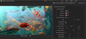 Ripple Tools Helps Docs, Ripple Training: Video editing tutorials for the best editing software for PC and Mac.