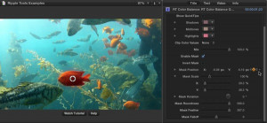 Ripple Tools Helps Docs, Ripple Training: Video editing tutorials for the best editing software for PC and Mac.