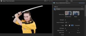 Ripple Tools Helps Docs, Ripple Training: Video editing tutorials for the best editing software for PC and Mac.