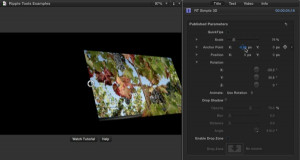 Ripple Tools Helps Docs, Ripple Training: Video editing tutorials for the best editing software for PC and Mac.
