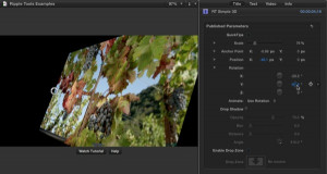 Ripple Tools Helps Docs, Ripple Training: Video editing tutorials for the best editing software for PC and Mac.