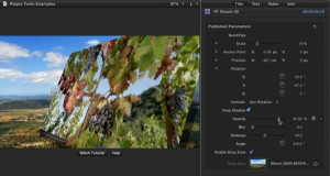 Ripple Tools Helps Docs, Ripple Training: Video editing tutorials for the best editing software for PC and Mac.