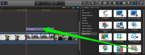 Ripple Tools Helps Docs, Ripple Training: Video editing tutorials for the best editing software for PC and Mac.