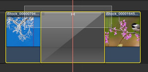 Steps Help Docs, Ripple Training: Video editing tutorials for the best editing software for PC and Mac.