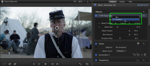 Face Obscure Help Doc, Ripple Training: Video editing tutorials for the best editing software for PC and Mac.