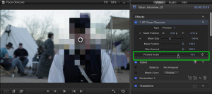 Face Obscure Help Doc, Ripple Training: Video editing tutorials for the best editing software for PC and Mac.