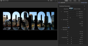 Video in Text Help Doc, Ripple Training: Video editing tutorials for the best editing software for PC and Mac.