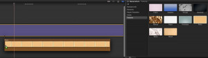 Video in Text Help Doc, Ripple Training: Video editing tutorials for the best editing software for PC and Mac.