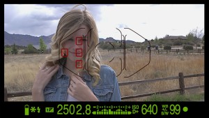 RT DSLR, Ripple Training: Video editing tutorials for the best editing software for PC and Mac.
