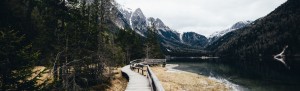 Final Cut Pro Learning Path, Ripple Training: Video editing tutorials for the best editing software for PC and Mac.
