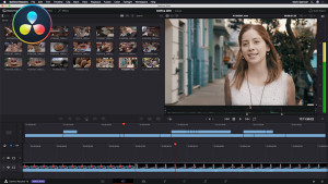 DaVinci Resolve Learning Path, Ripple Training: Video editing tutorials for the best editing software for PC and Mac.