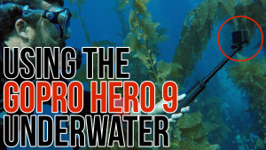Using the Hero 9 Underwater, Ripple Training: Video editing tutorials for the best editing software for PC and Mac.