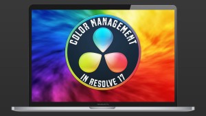 Color Management in DaVinci Resolve 17, Ripple Training: Video editing tutorials for the best editing software for PC and Mac.