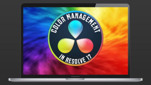 Color Management in DaVinci Resolve 17, Ripple Training: Video editing tutorials for the best editing software for PC and Mac.