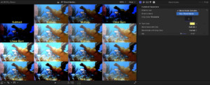 RT Blend Modes, Ripple Training: Video editing tutorials for the best editing software for PC and Mac.