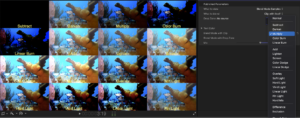 RT Blend Modes, Ripple Training: Video editing tutorials for the best editing software for PC and Mac.